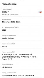 IMG_1231.jpeg